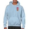 Heavy Blend Adult Hooded Sweatshirt Thumbnail