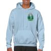Heavy Blend Adult Hooded Sweatshirt Thumbnail