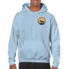 Heavy Blend Adult Hooded Sweatshirt Thumbnail