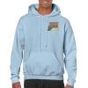 Heavy Blend Adult Hooded Sweatshirt Thumbnail