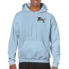 Heavy Blend Adult Hooded Sweatshirt Thumbnail