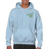 Heavy Blend Adult Hooded Sweatshirt Thumbnail