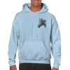 Heavy Blend Adult Hooded Sweatshirt Thumbnail