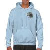 Heavy Blend Adult Hooded Sweatshirt Thumbnail