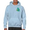Heavy Blend Adult Hooded Sweatshirt Thumbnail