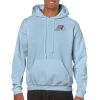Heavy Blend Adult Hooded Sweatshirt Thumbnail