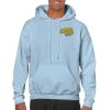 Heavy Blend Adult Hooded Sweatshirt Thumbnail