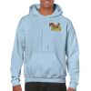 Heavy Blend Adult Hooded Sweatshirt Thumbnail