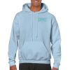 Heavy Blend Adult Hooded Sweatshirt Thumbnail