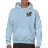 Heavy Blend Adult Hooded Sweatshirt Thumbnail