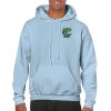 Heavy Blend Adult Hooded Sweatshirt Thumbnail