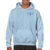 Heavy Blend Adult Hooded Sweatshirt Thumbnail