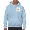 Heavy Blend Adult Hooded Sweatshirt Thumbnail