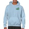 Heavy Blend Adult Hooded Sweatshirt Thumbnail