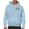 Heavy Blend Adult Hooded Sweatshirt Thumbnail