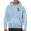 Heavy Blend Adult Hooded Sweatshirt Thumbnail