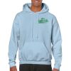 Heavy Blend Adult Hooded Sweatshirt Thumbnail