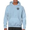 Heavy Blend Adult Hooded Sweatshirt Thumbnail