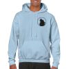 Heavy Blend Adult Hooded Sweatshirt Thumbnail
