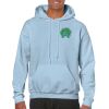 Heavy Blend Adult Hooded Sweatshirt Thumbnail