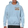 Heavy Blend Adult Hooded Sweatshirt Thumbnail