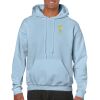 Heavy Blend Adult Hooded Sweatshirt Thumbnail