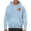 Heavy Blend Adult Hooded Sweatshirt Thumbnail