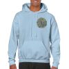 Heavy Blend Adult Hooded Sweatshirt Thumbnail