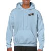 Heavy Blend Adult Hooded Sweatshirt Thumbnail