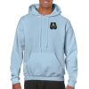 Heavy Blend Adult Hooded Sweatshirt Thumbnail