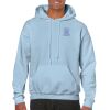 Heavy Blend Adult Hooded Sweatshirt Thumbnail