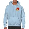 Heavy Blend Adult Hooded Sweatshirt Thumbnail