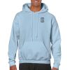 Heavy Blend Adult Hooded Sweatshirt Thumbnail