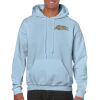 Heavy Blend Adult Hooded Sweatshirt Thumbnail