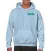 Heavy Blend Adult Hooded Sweatshirt Thumbnail