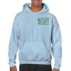 Heavy Blend Adult Hooded Sweatshirt Thumbnail