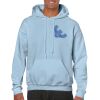 Heavy Blend Adult Hooded Sweatshirt Thumbnail