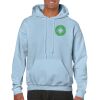 Heavy Blend Adult Hooded Sweatshirt Thumbnail