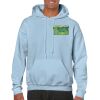 Heavy Blend Adult Hooded Sweatshirt Thumbnail