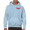 Heavy Blend Adult Hooded Sweatshirt Thumbnail