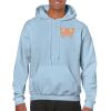 Heavy Blend Adult Hooded Sweatshirt Thumbnail