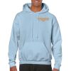Heavy Blend Adult Hooded Sweatshirt Thumbnail
