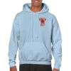 Heavy Blend Adult Hooded Sweatshirt Thumbnail