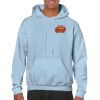 Heavy Blend Adult Hooded Sweatshirt Thumbnail