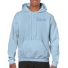 Heavy Blend Adult Hooded Sweatshirt Thumbnail