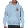 Heavy Blend Adult Hooded Sweatshirt Thumbnail