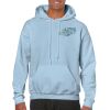 Heavy Blend Adult Hooded Sweatshirt Thumbnail
