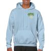 Heavy Blend Adult Hooded Sweatshirt Thumbnail