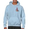 Heavy Blend Adult Hooded Sweatshirt Thumbnail