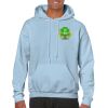 Heavy Blend Adult Hooded Sweatshirt Thumbnail